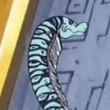 Arquivo:One Piece Nola jovem.png