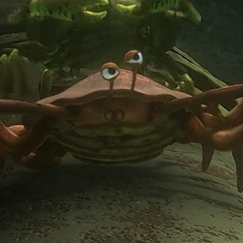 Arquivo:BazBN.png