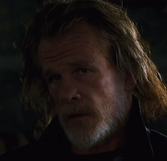 Arquivo:David Banner (HULK2003).png