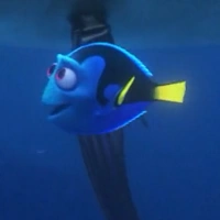 Arquivo:Dory adolescente - FD.png