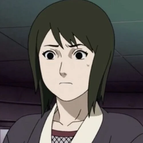 Arquivo:Shizune (NSoF-L).jpg