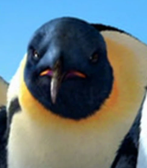 Arquivo:Elder Penguin2 HP1.png