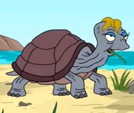 Arquivo:Petunia tortuga.png