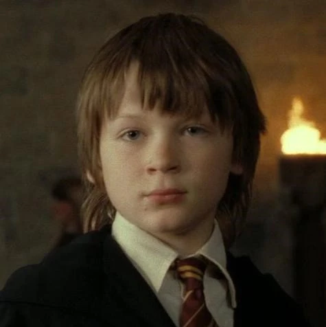 Arquivo:Tiago Potter criança.jpg
