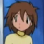 Arquivo:Random Trainer.png