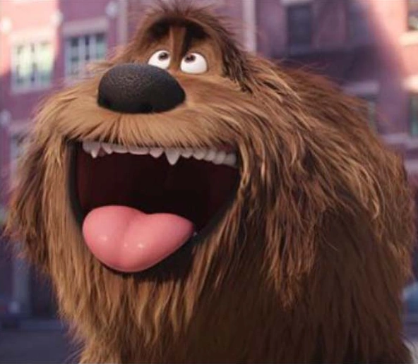 Arquivo:Duke-Pets.png