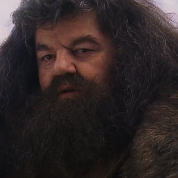 Arquivo:HP1RubeusHagrid.png