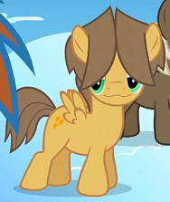 Arquivo:Hoops colt ID S1E23.webp