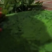Arquivo:A Estante dos Bichinhos - Pai de Timothy.png