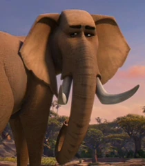 Arquivo:Elephant-madly-madagascar-4.51.jpg