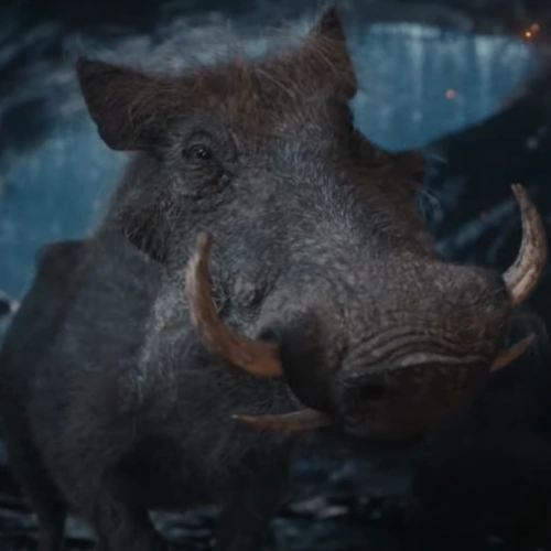 Arquivo:Pumba (MoRL).png