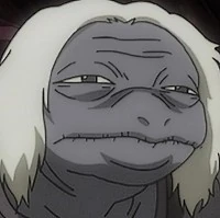 Arquivo:Turtle (HxH2011).jpg