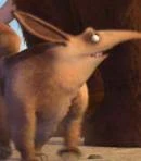 Arquivo:Aardvark.jpeg