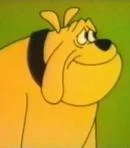 Arquivo:Pica-Pau brutus.jpg