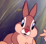 Arquivo:Señora conejo.png