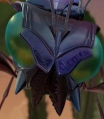 Arquivo:Wasp-leader-ant-bully-30.9.jpg