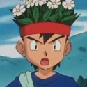 Arquivo:Pkmn Gulzar.png