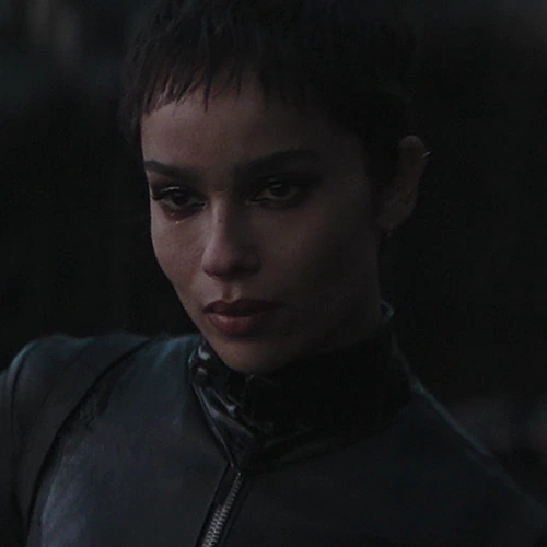 Arquivo:BatmanSelinaKyle.png