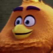 Arquivo:Early bird.jpg