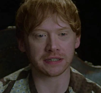 Arquivo:Rupert Grint (HP20).png