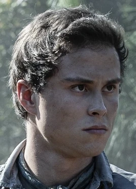 Arquivo:Falcão (FTWD).png