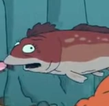 Arquivo:Salmon macdoogal.png