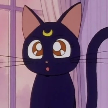 Arquivo:LUNA.jpg