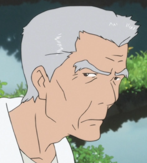 Arquivo:Nirasaki.png