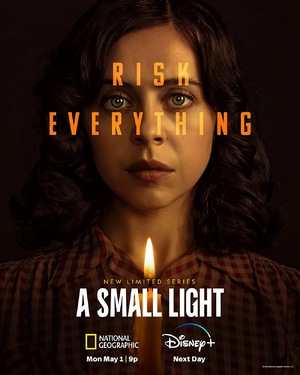 SmallLight.jpg