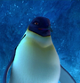 Tia Viola em Happy Feet: O Pinguim