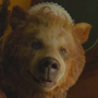 Dulcibear em Wicked