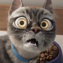 Pedro em Pets em Ação!