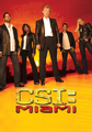 CSI: Miami (8ª-10ª temp.)