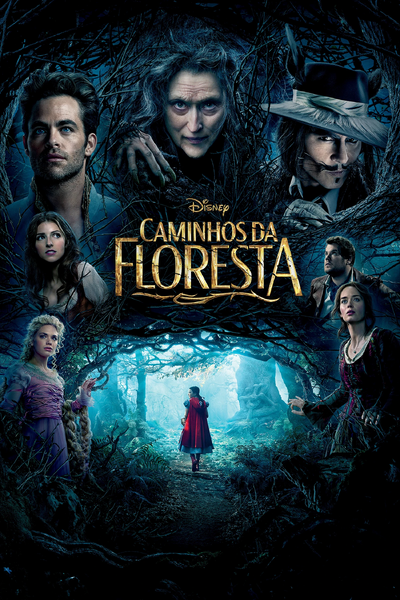 Arquivo:Caminhos da Floresta.jpg