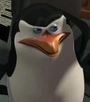 Capitão em Madagascar e Os Pinguins de Madagascar em Uma Missão de Natal