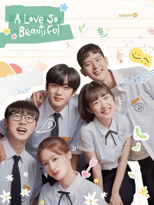 A Love so Beautiful.jpg