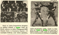 Matéria falando do segundo VHS nunca lançado, intitulado "Ley, o Super Gatão".