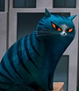 Gato / Narrador em Os Irmãos Willoughby