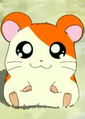 Hamtaro