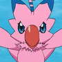 Piyomon e evoluções em Digimon