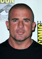 Dominic Purcell