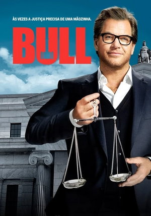 Bull (2016) .jpg