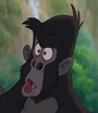 Flynt em Tarzan