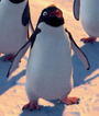 Ramon em Happy Feet: O Pinguim e Happy Feet 2: O Pinguim