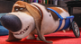 Pops em Pets: A Vida Secreta dos Bichos