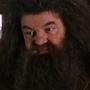Hagrid na franquia Harry Potter