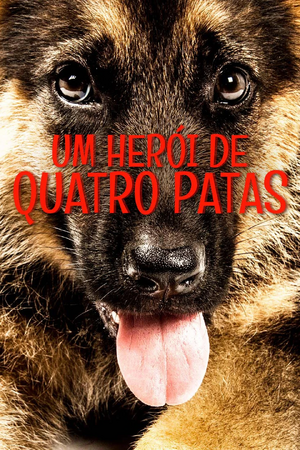 Heroiquatropatas.jpg