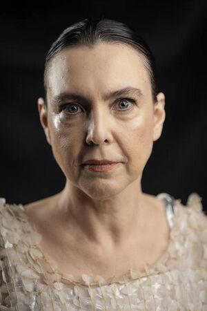 Adriana Calcanhotto.jpg
