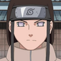 Neji Hyūga em Naruto e Naruto Shippuden