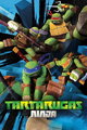 As Tartarugas Ninja (2012), O Despertar das Tartarugas Ninja: O Filme (Co-direção) e As Tartarugas Ninja: Histórias Mutantes